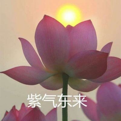 江山美人梦在线玩下载